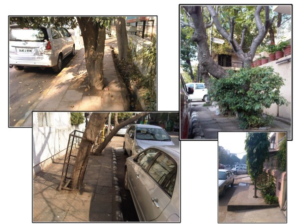 Sidewalks are for trees